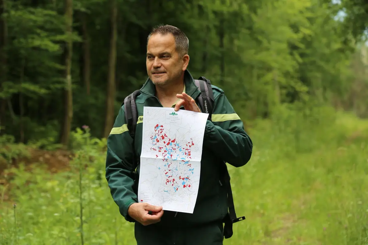 Les Forêts de l'Histoire 14-18 : La grosse offensive allemande
