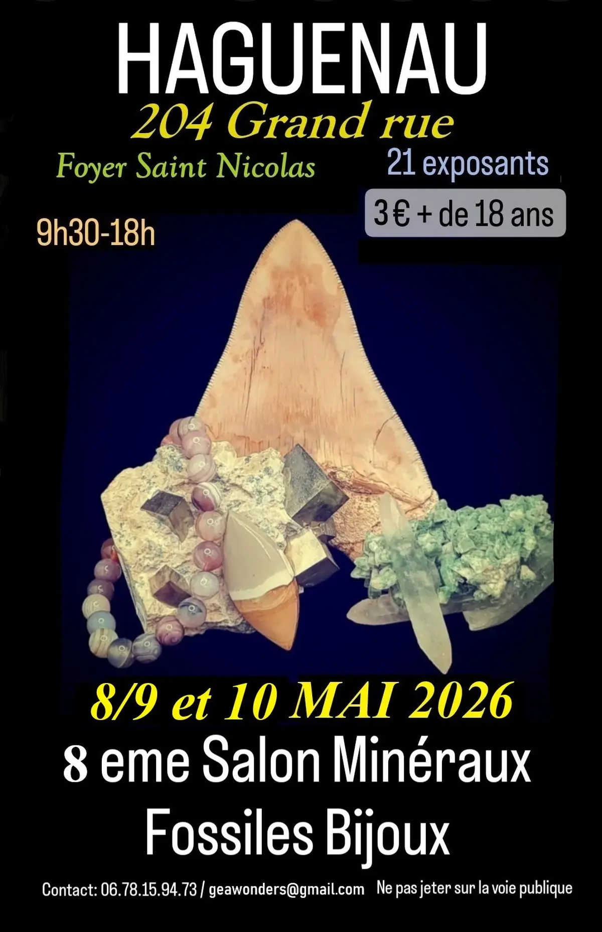 8 ème Salon Minéraux fossiles et bijoux