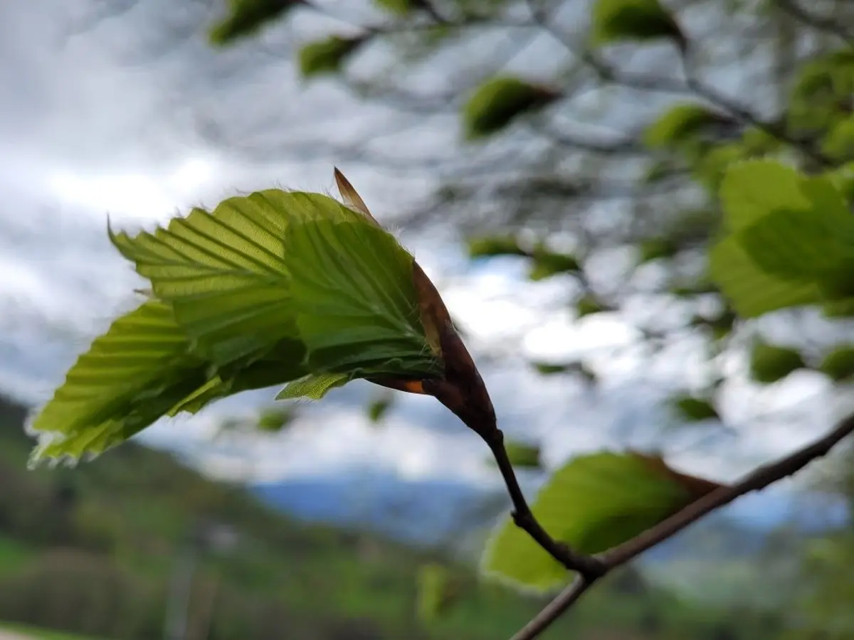 Prendre de la hauteur avec les 4 éléments