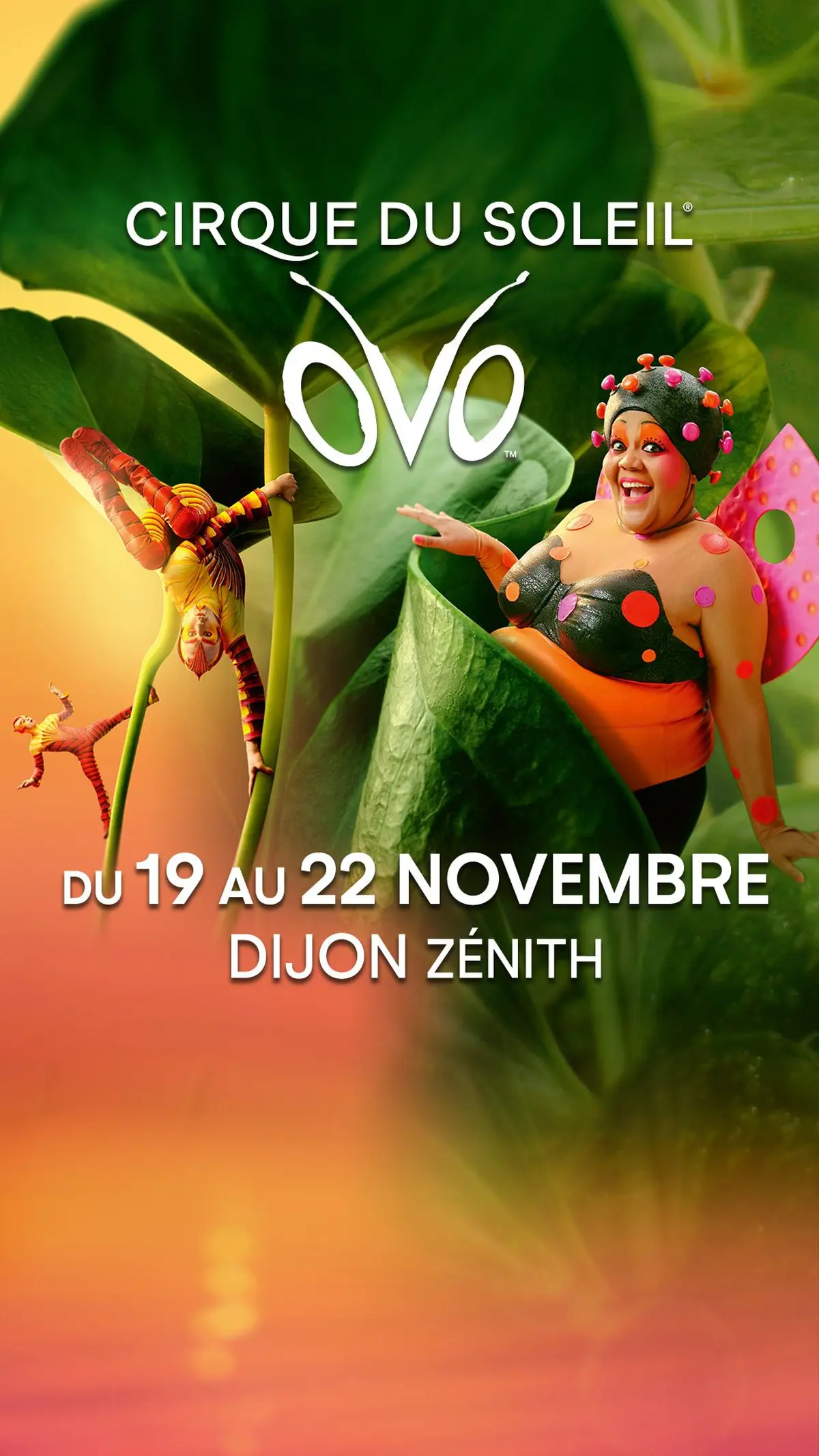 Le Cirque du Soleil OVO