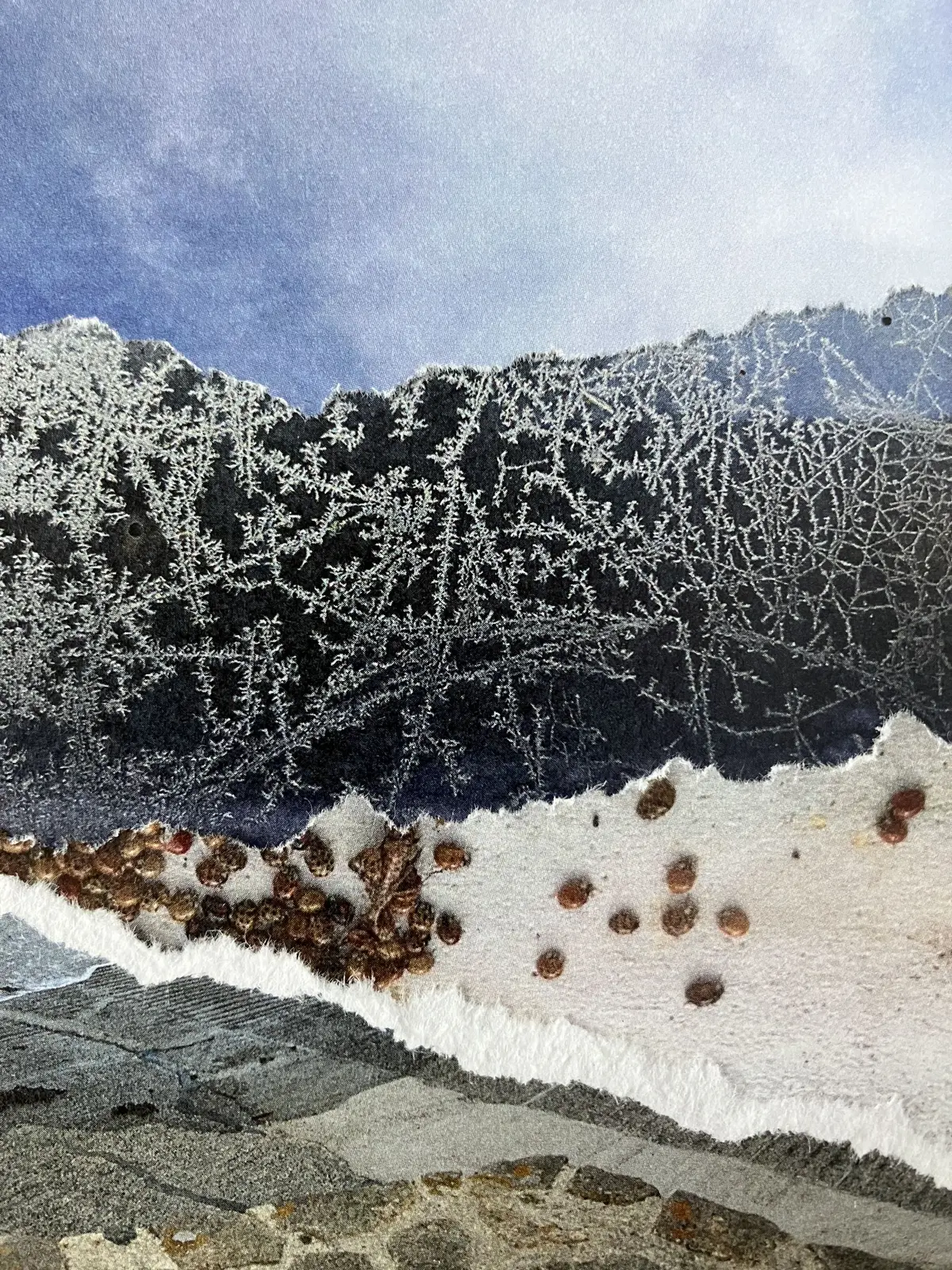 Atelier photographie