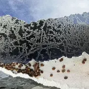 Atelier photographie