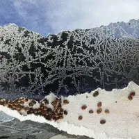 Atelier photographie &copy; Le réverbère