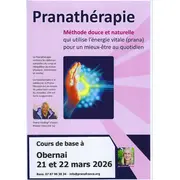 Cours de base Soins énergétiques de Pranathérapie