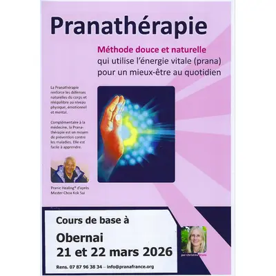 Cours de base Soins énergétiques de Pranathérapie