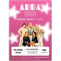 Concert ABBA Tribute  &copy; Mathieu Lehmann et Elise Perret 