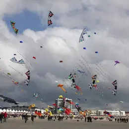 Acsp kite