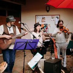 Soirs d'été : Concert du groupe AleCeltique