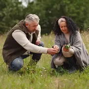 Balade découverte des plantes sauvages à Chavanod