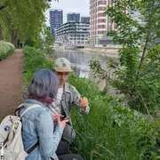 City Nature Challenge / Défi Nature Urbaine à Strasbourg