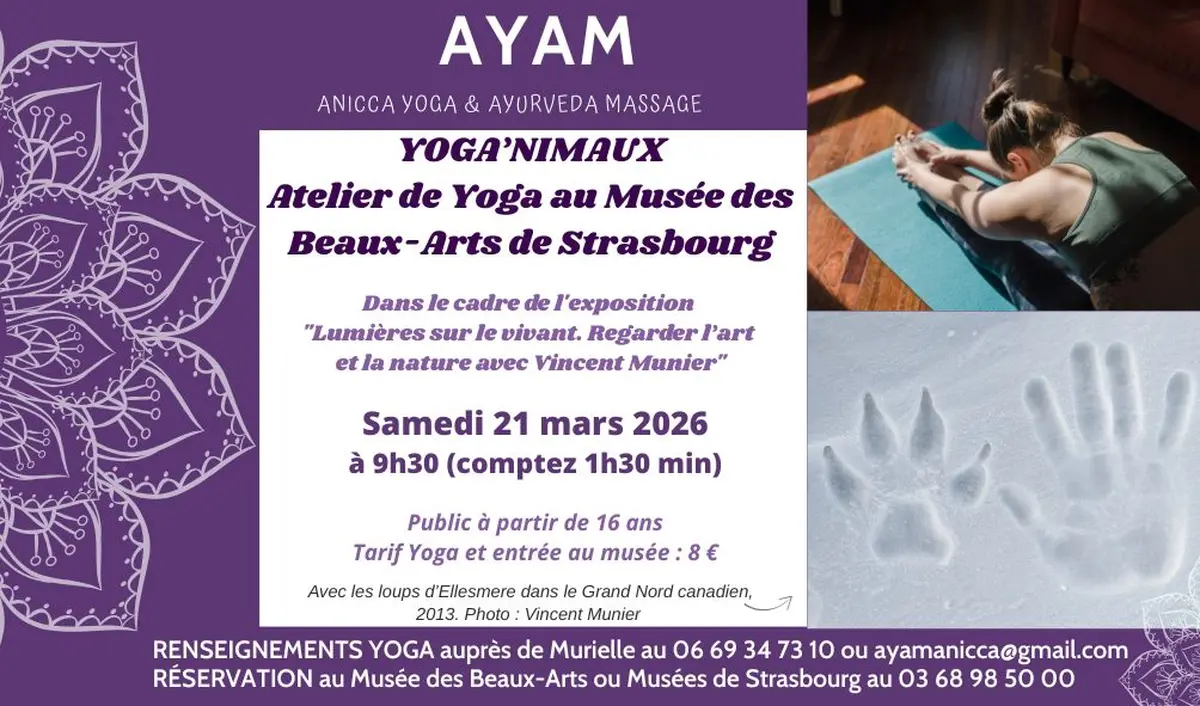 Yog'nimaux, Yoga au Musée des Beaux-Arts de Strasbourg