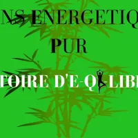  &copy; Soins Énergétiques Pur. Histoire d'E-Qi-Libre