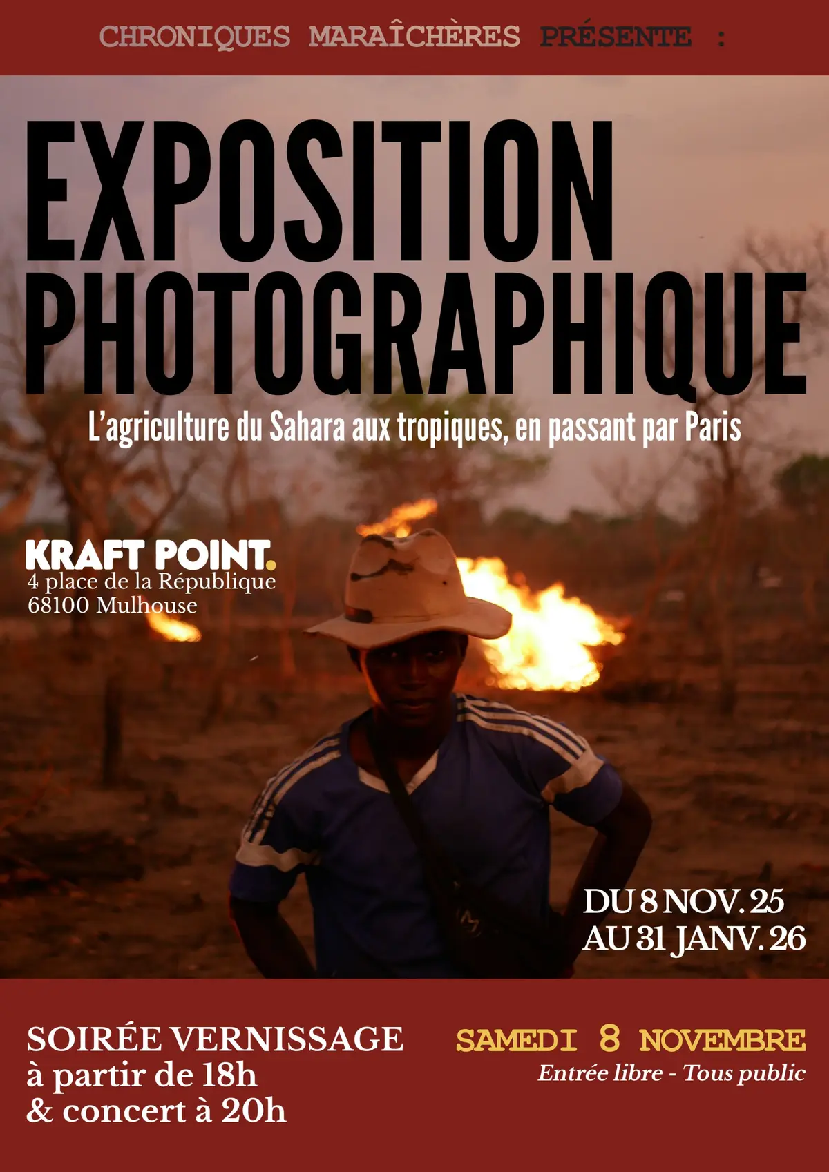 Chroniques maraîchères