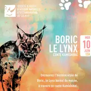 Conte Kamishibaï | Boric le Lynx