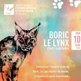 Conte Kamishibaï | Boric le Lynx