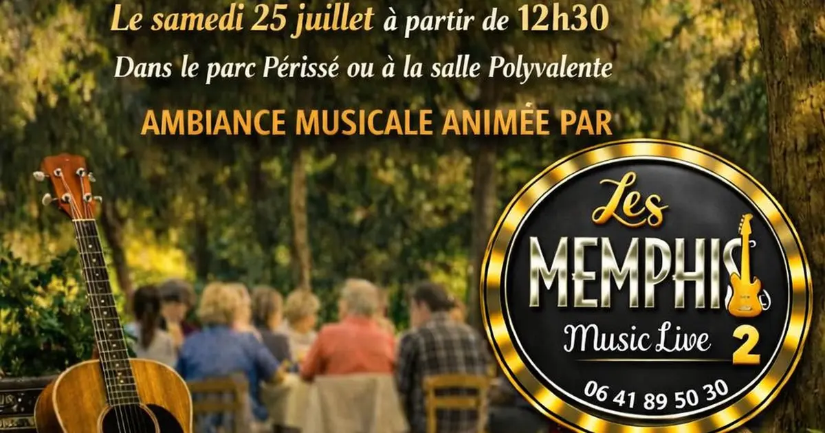 Les Memphis 2 Guitare Voix Harmonica en LIVE!