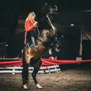 Spectacle équestre et kermesse 