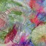 Tout savoir sur le parfum