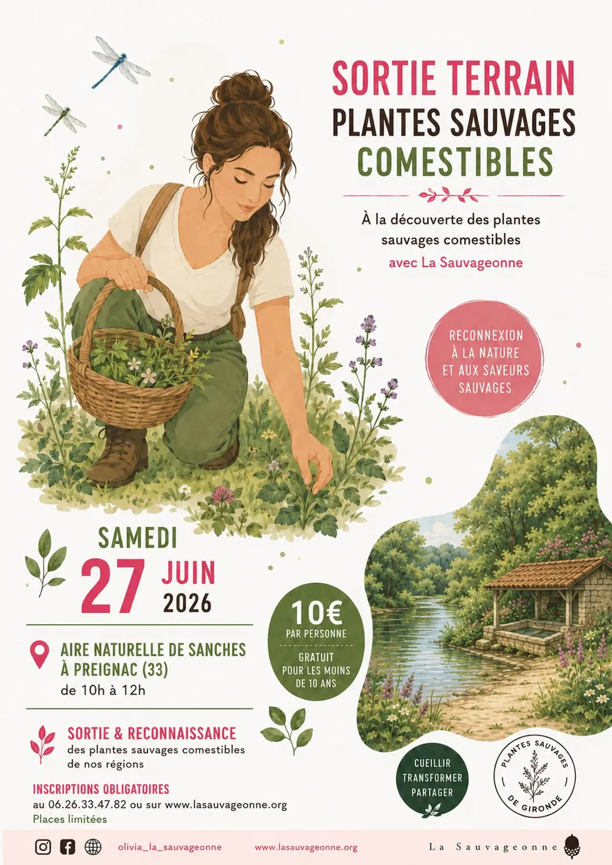 Sortie plantes sauvages comestibles en Sud Gironde 