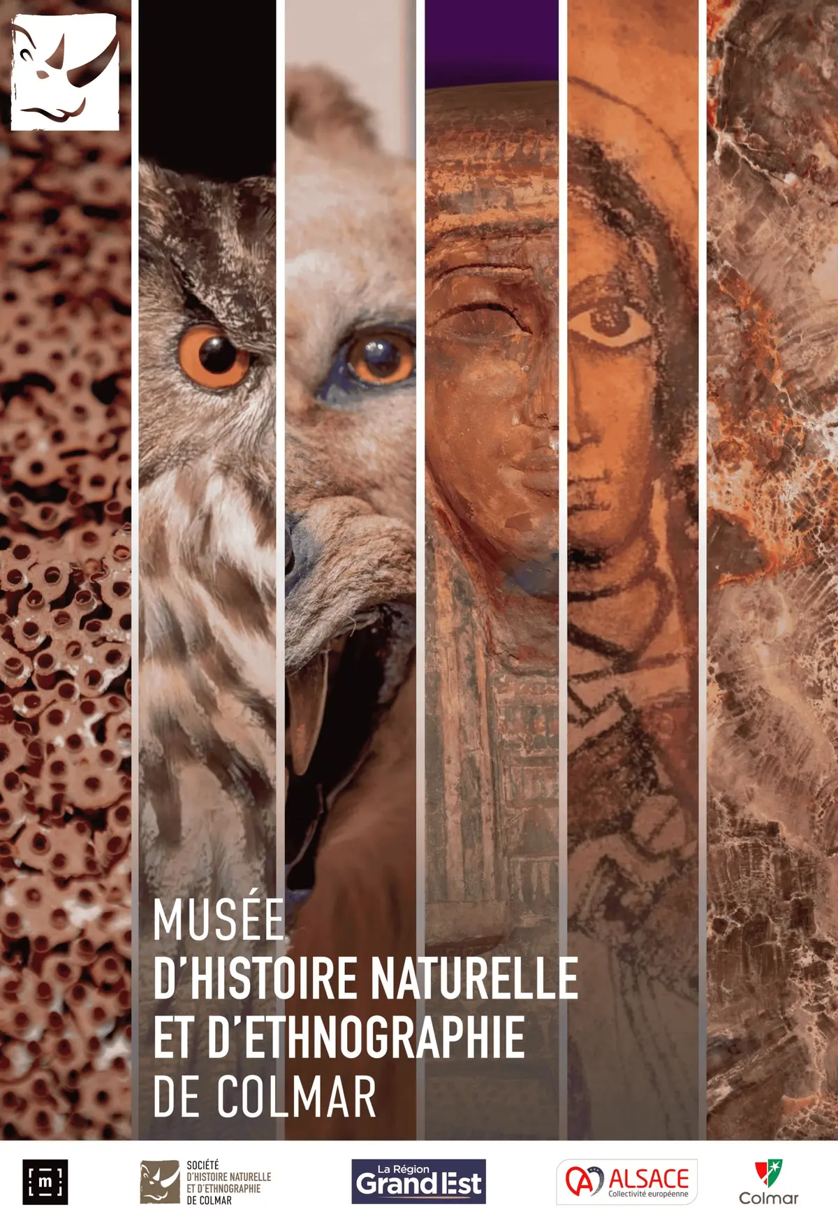 Le Musée d'Histoire naturelle et d'Ethnographie