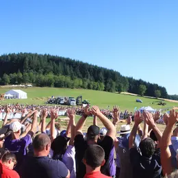 Grande Fête de la Forêt et du Bois