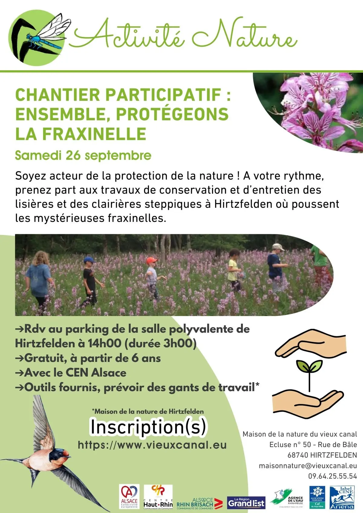 Ensemble, protégeons la fraxinelle