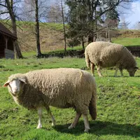 Programme des animations : les habits à travers l'histoire &copy; La Ferme d'Argentin