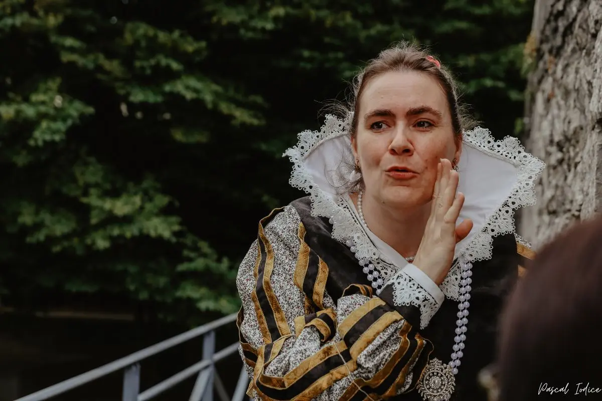 Visite Insolite Grenoble au temps de Lesdiguières