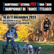 Championnat de France de chiens de traineau 
