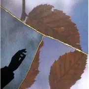 Stage vacances ados 12-15 ans — Kintsugi photographique avec Cynthia Mancuso