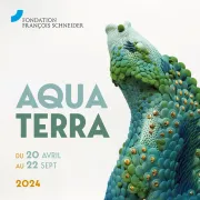 Aqua Terra