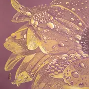 Les fleurs de ma mère 