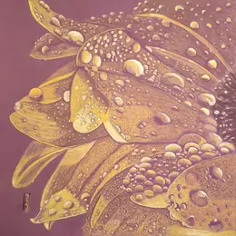 Les fleurs de ma mère 