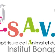 ESAV - Institut Bonaparte