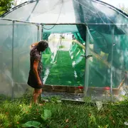 Spiruline du domaine d'Echoisy