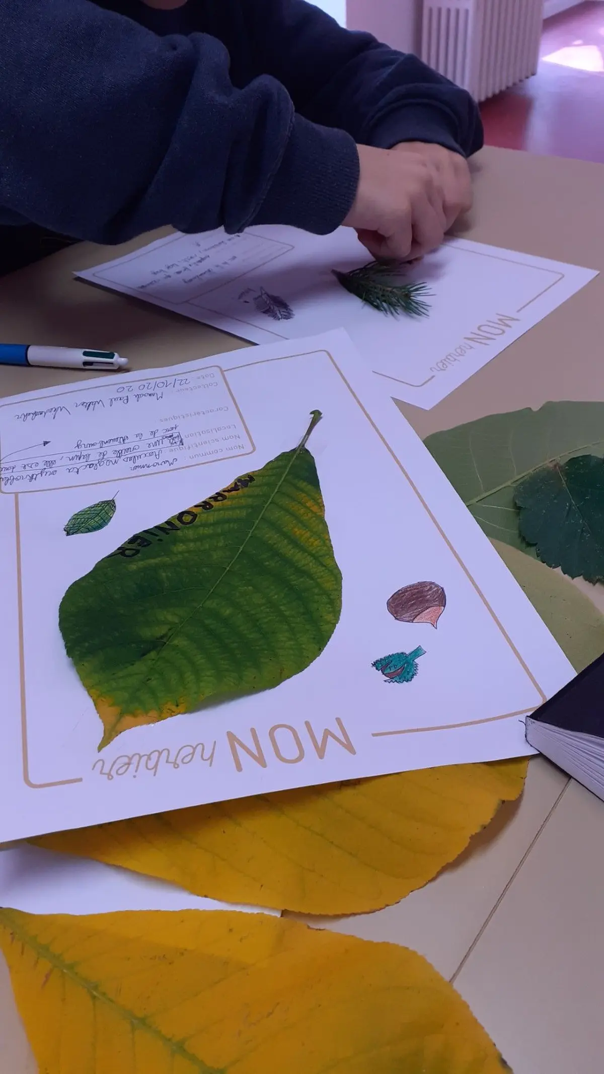 RDVJ 2026 : Atelier famille – Fabrique ton herbier