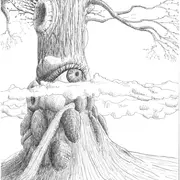  Thomas Clément illumine le Carrefour des Arts