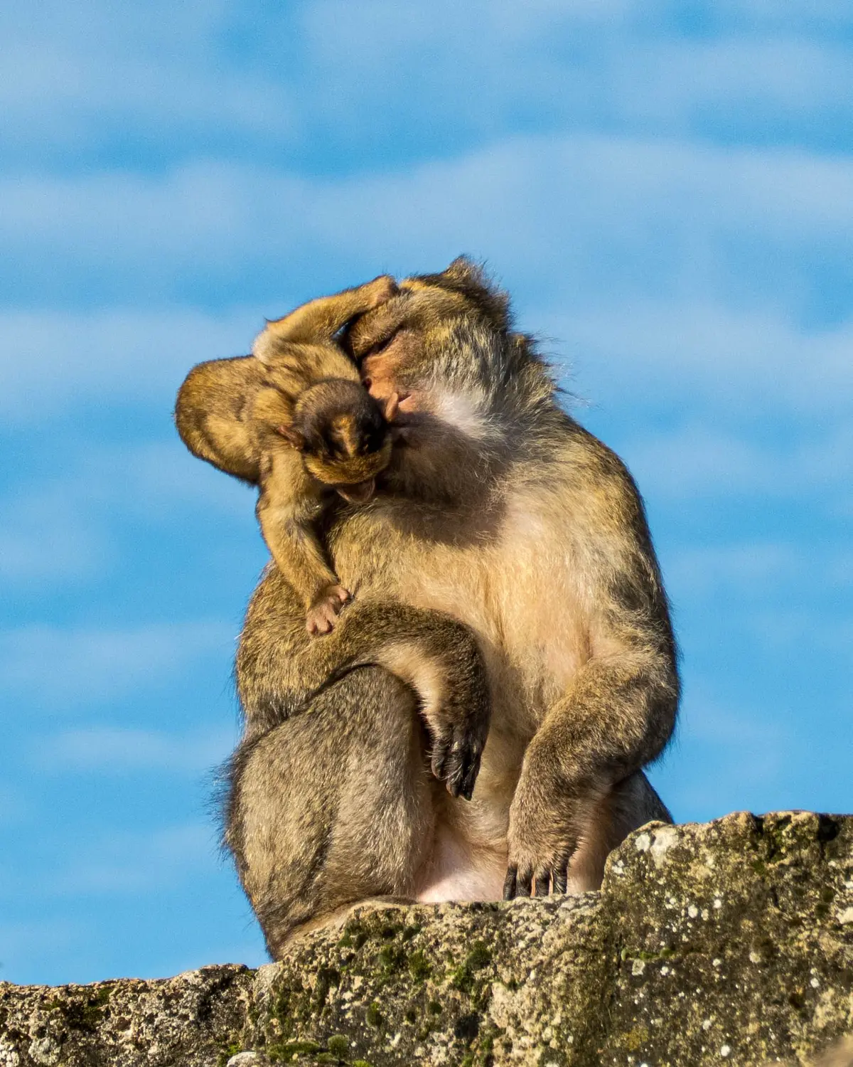 Semaine de la Conservation