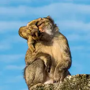 Semaine de la Conservation