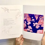 Atelier de création : Rencontre illustrée avec l'artiste Clara Virey