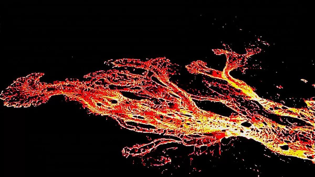 Soirée Projection 2 Films de Georges Sammut