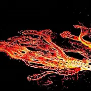 Soirée Projection 2 Films de Georges Sammut