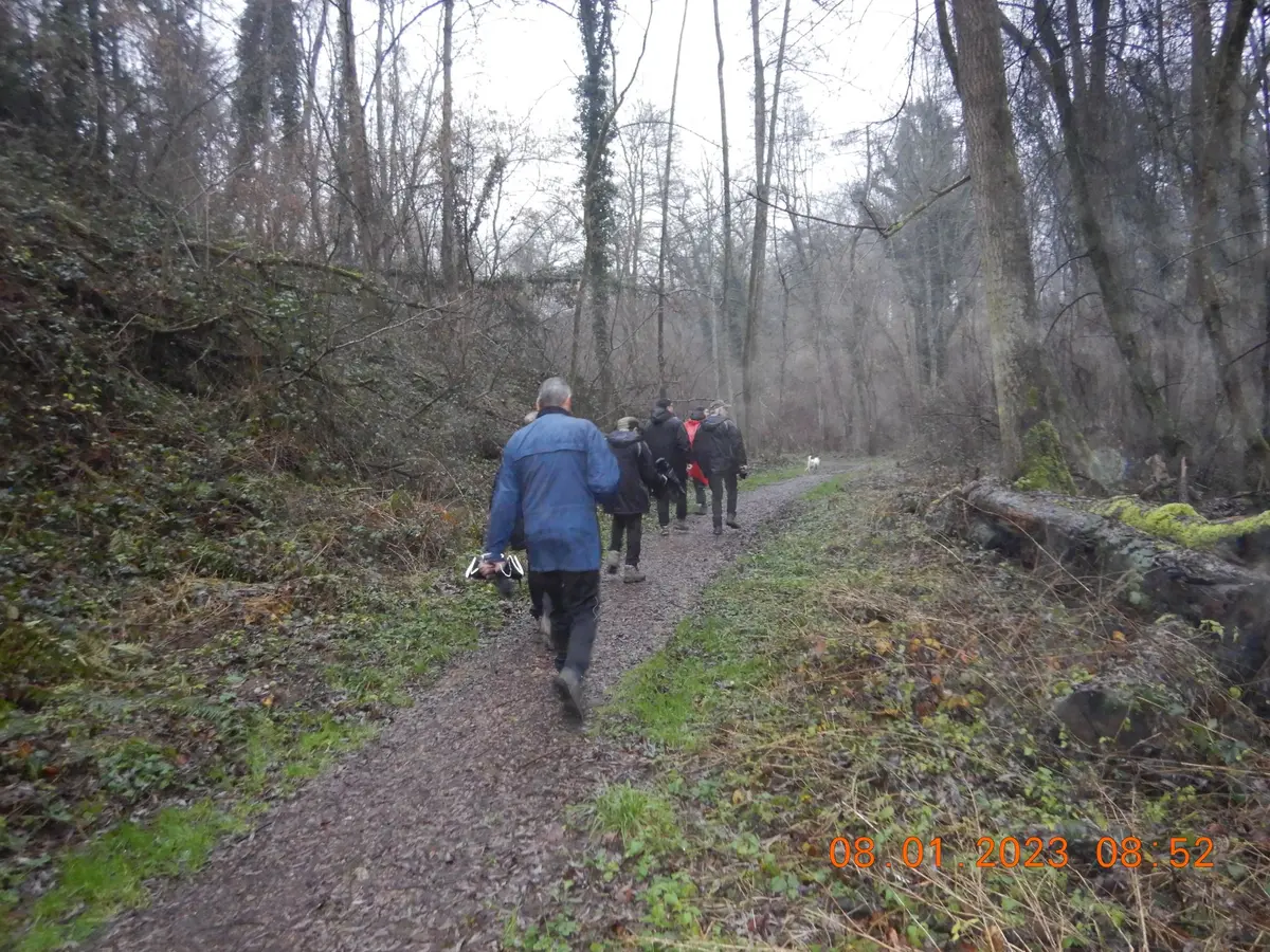 49ème Marche Populaire Internationale Hégenheim 