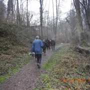 49ème Marche Populaire Internationale Hégenheim 