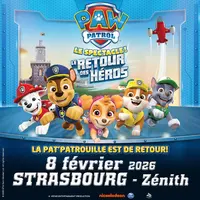 Pat'Patrouille 'Le Retour des Héros &copy; DR