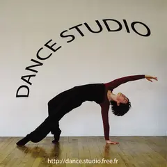 Stage de danse d'été avec Nick Blumenfeld (danseur-professeur-chorégraphe)