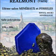 53 ème Salon Minéraux et Fossiles  Réalmont (Tarn)