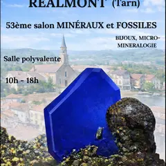 53 ème Salon Minéraux et Fossiles  Réalmont (Tarn)