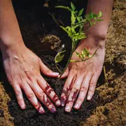 Atelier : Le jardinage au naturel 2/3