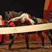 Haut - Royaume : L'héritier perdu, conte équestre médiéval